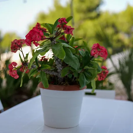 Yurta Glamping San Leone & Casa Baia Blu Bed & Breakfast *